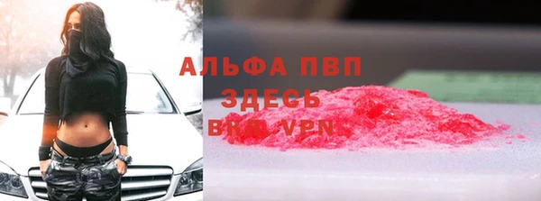 хмурый Гусев