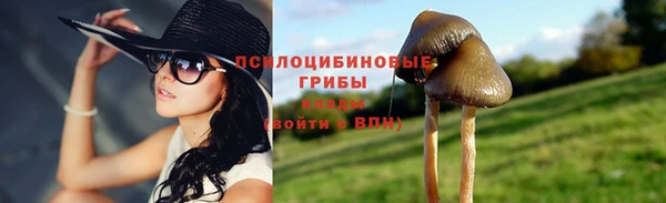 прущий лед Гусь-Хрустальный
