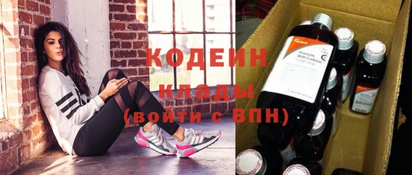 хмурый Гусев