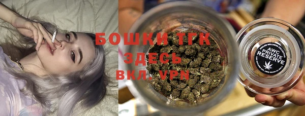 хмурый Гусев