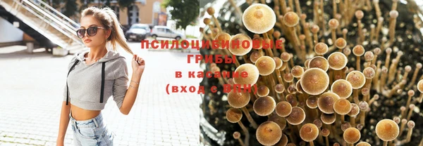 прущий лед Гусь-Хрустальный