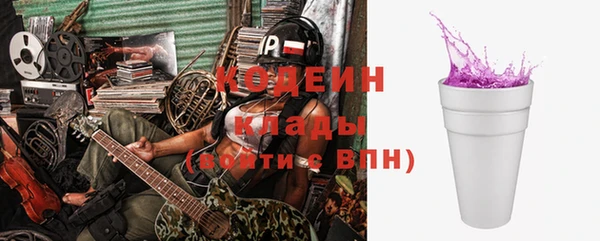 хмурый Гусев