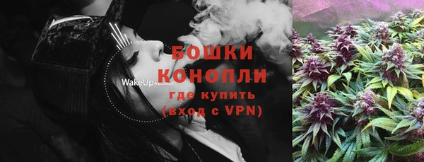 хмурый Гусев