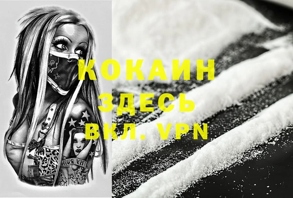 хмурый Гусев