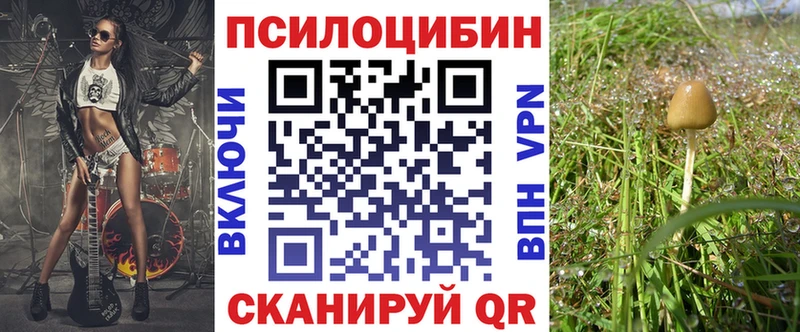 Купить  Константиновск  Галлюциногенные грибы мухоморы 